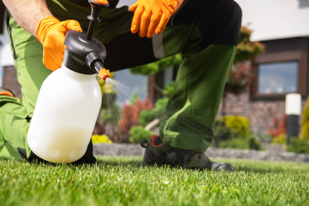 Flea Control Services in Burley, ID