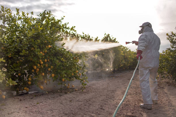 Best Best Pest Control Companies  in Burley, ID