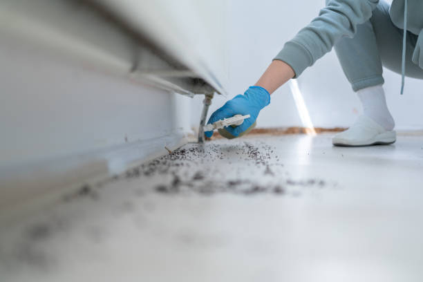Best Bed Bug Extermination  in Burley, ID