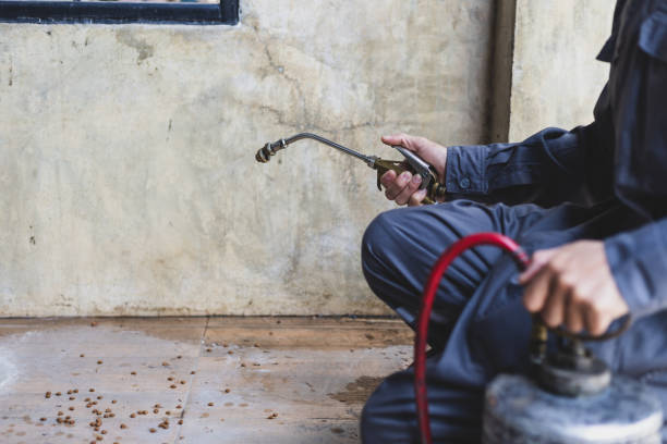 Best Commercial Pest Control Services  in Burley, ID